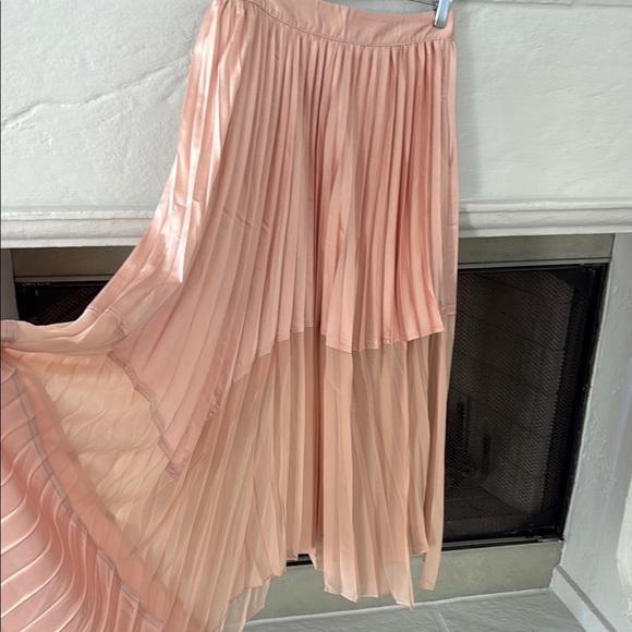 Pink Pleated Maxi Skirt - Picture 2 of 6